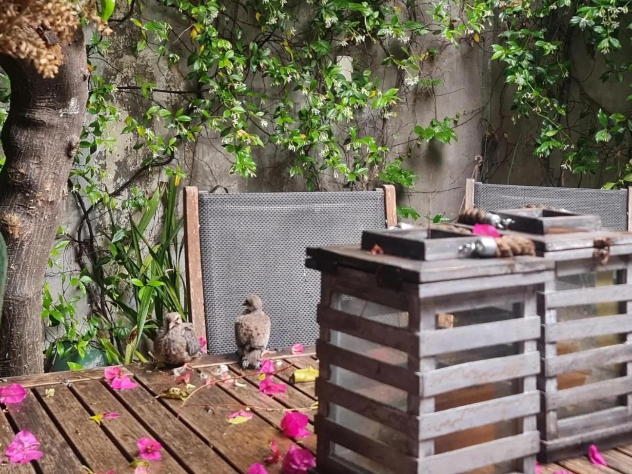 ホテル Mi Casa De ブエノスアイレス エクステリア 写真